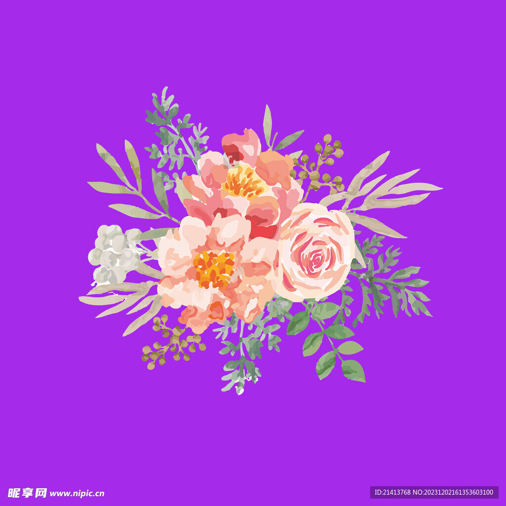 手绘月季花 