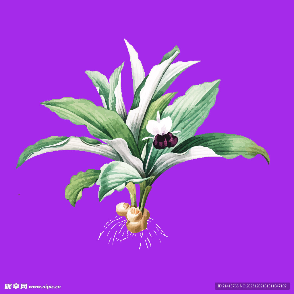 手绘鲜花花束 