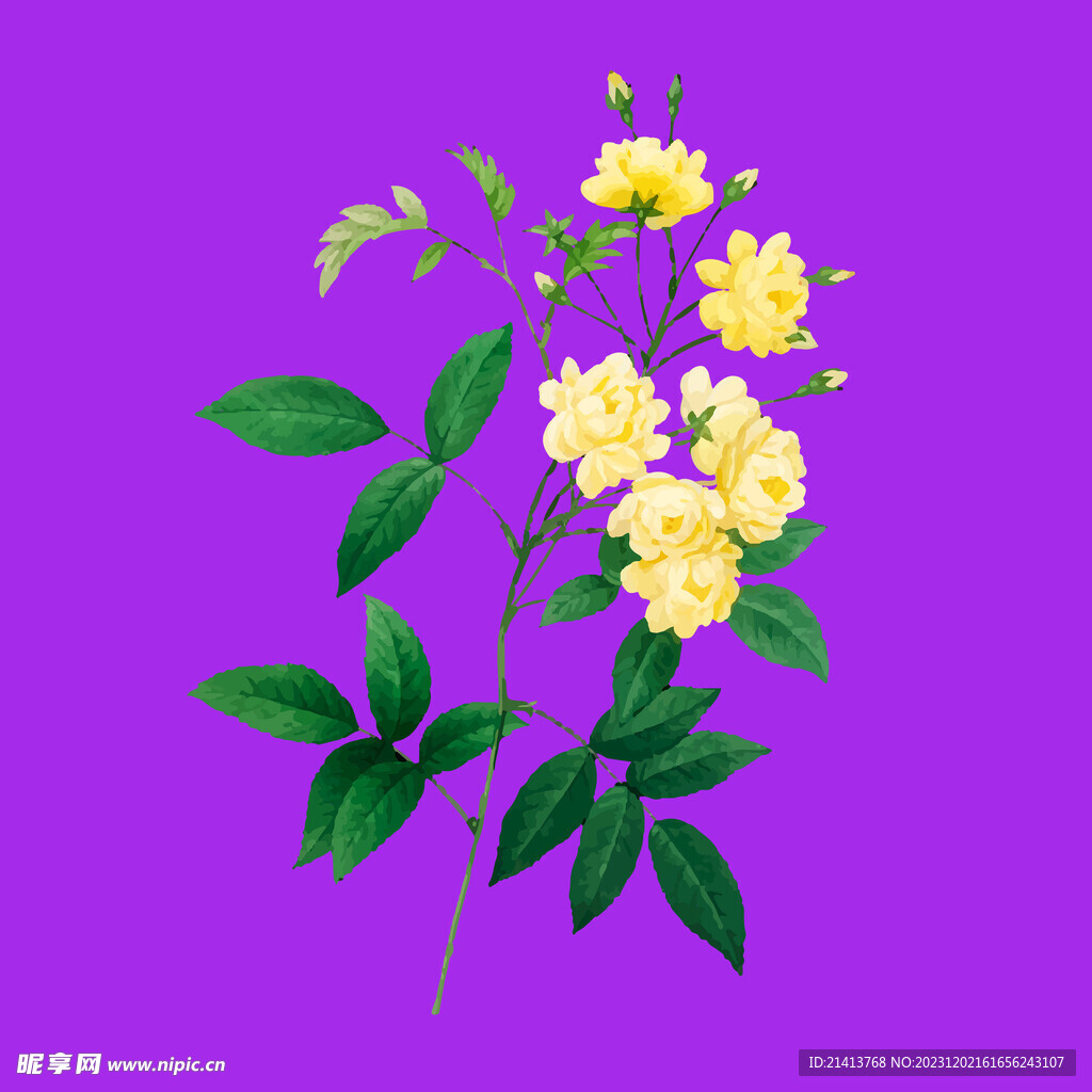 手绘鲜花花束 