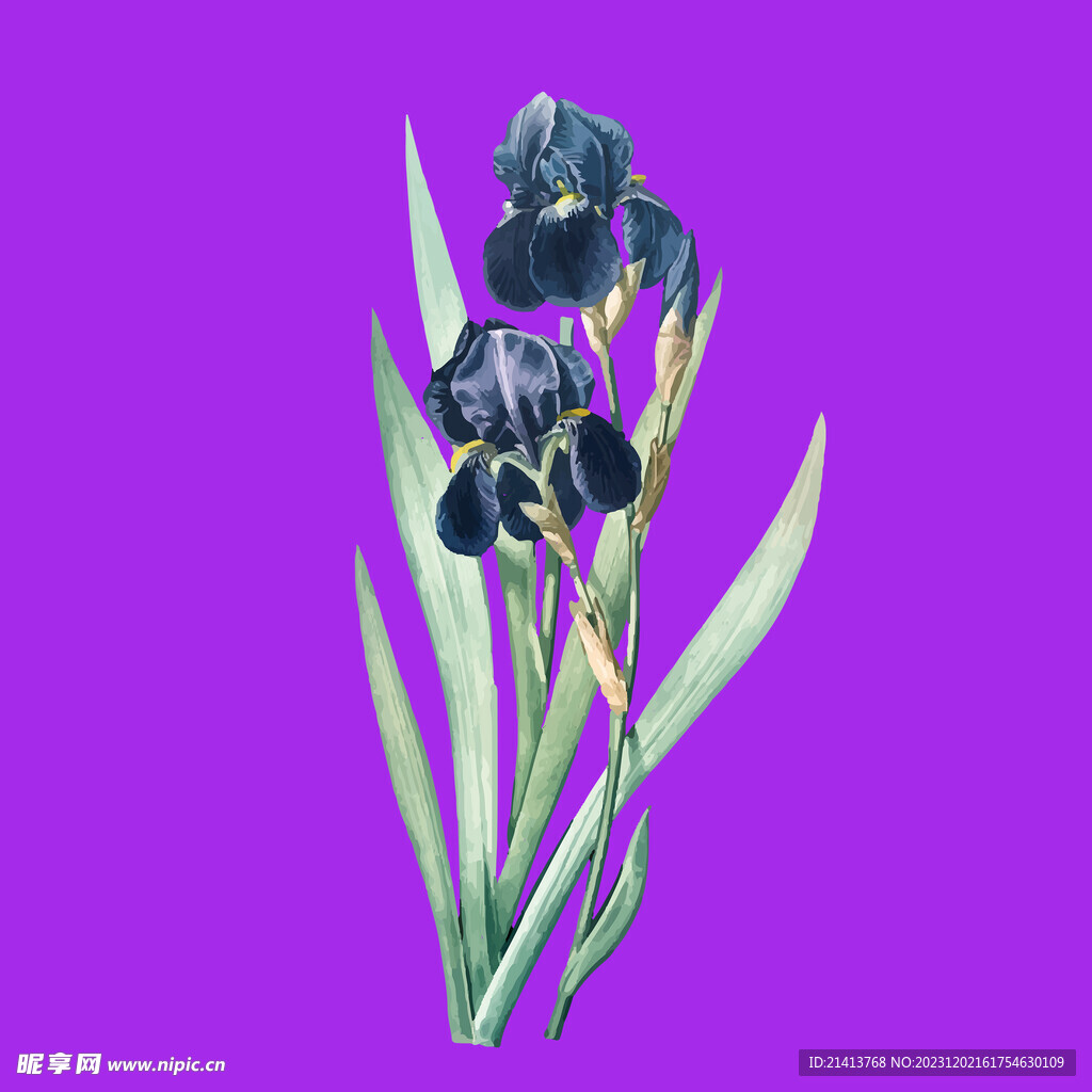 手绘鲜花花束