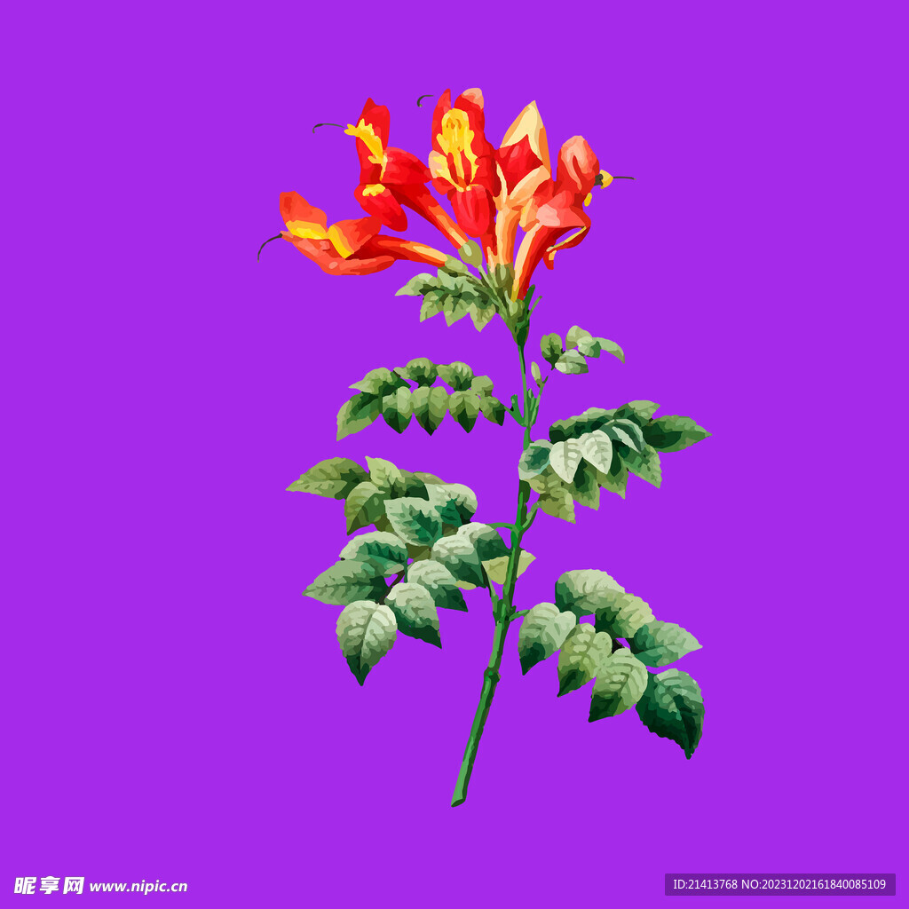 手绘鲜花花束 