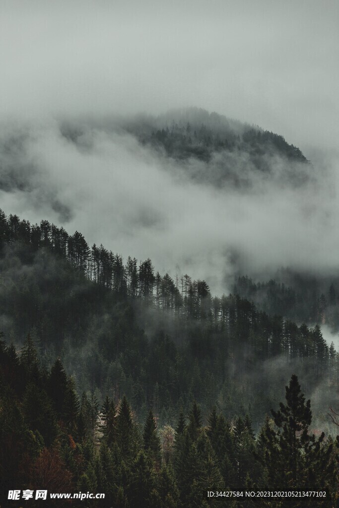 云海环绕山林