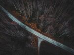 林间道路