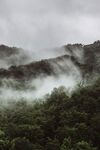 云海环绕山林