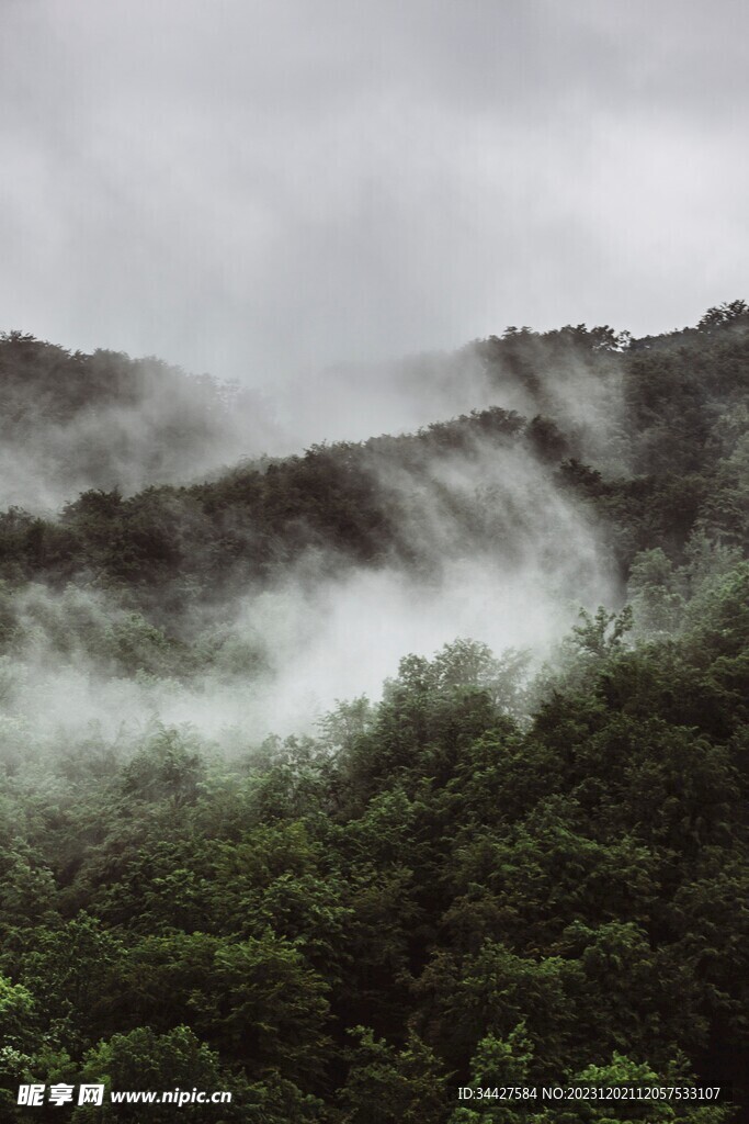  云海环绕山林