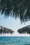 草棚海景