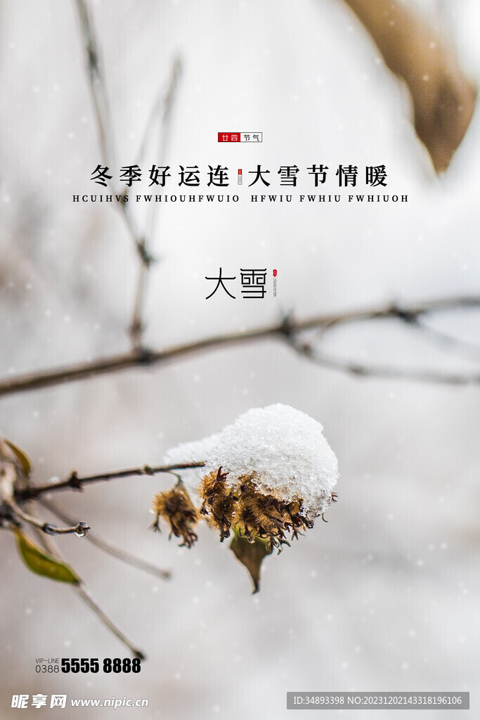 大雪创新