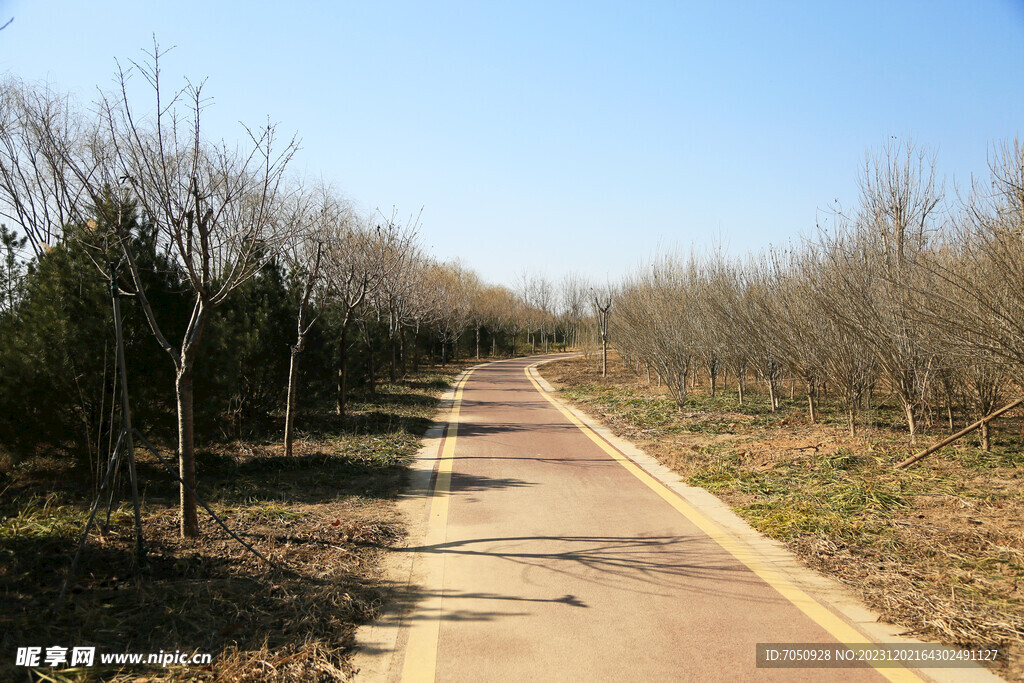 公园小路