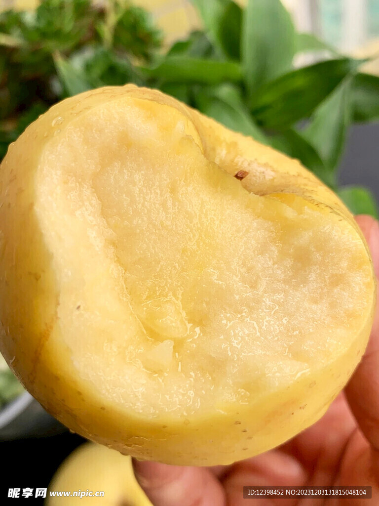 苹果