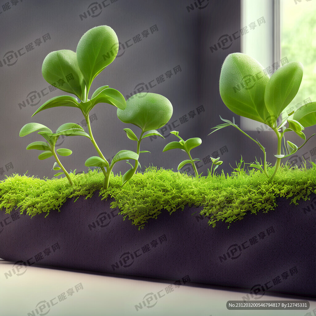 植物长势好