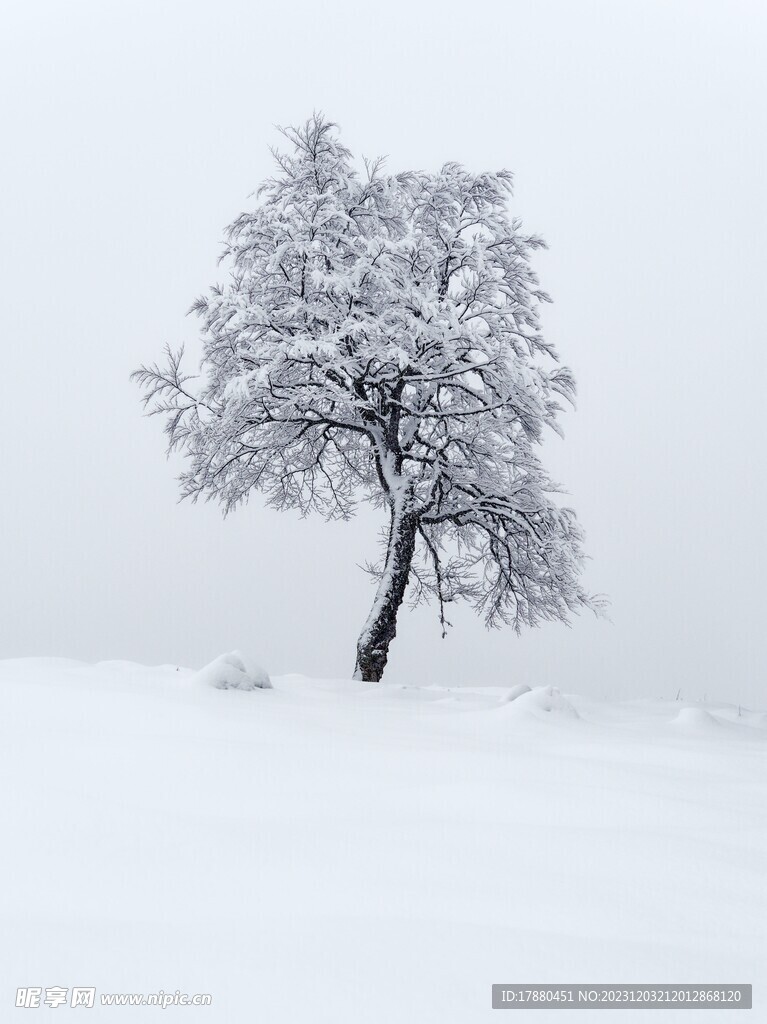 山林