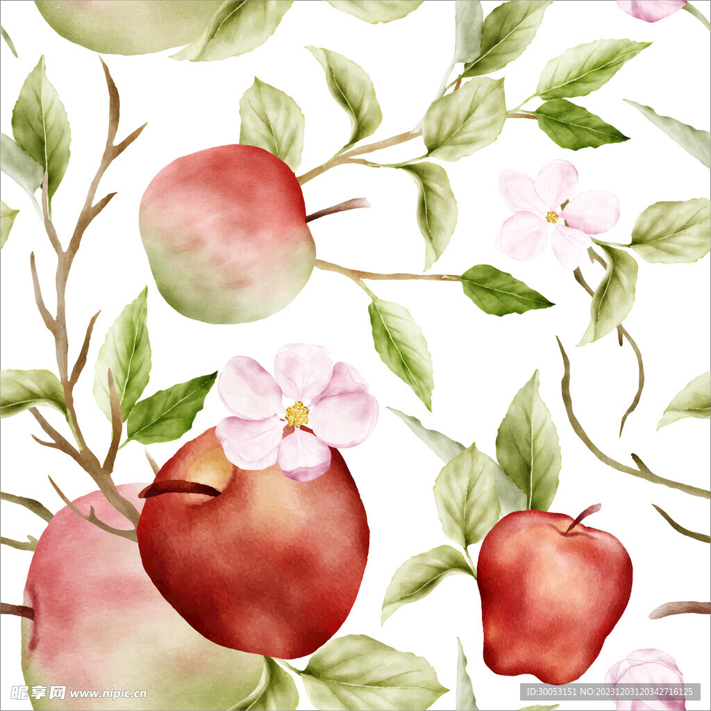 水彩苹果树插画