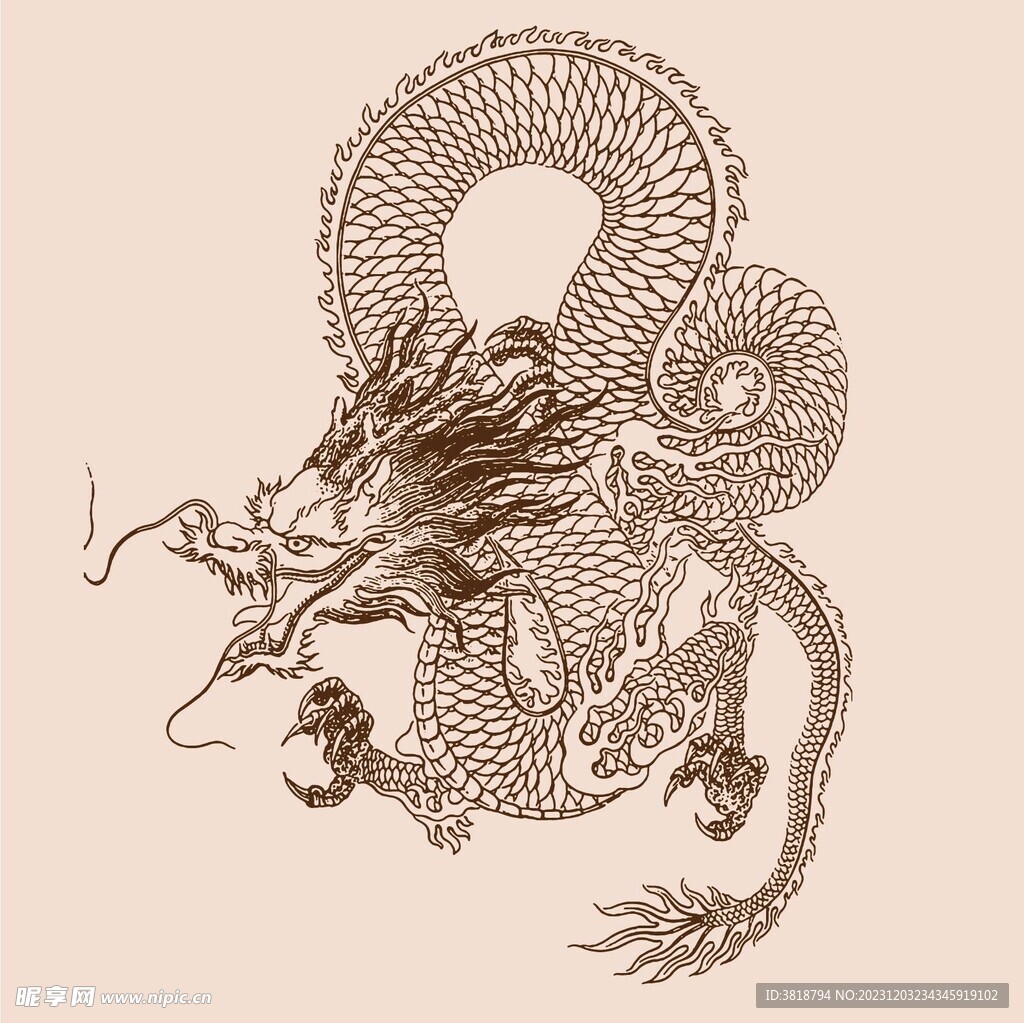 手绘中国龙版画插画