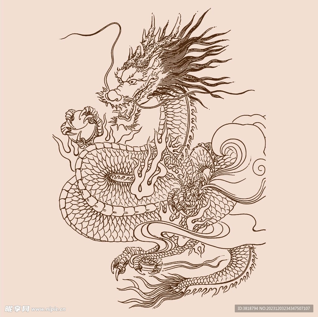 手绘中国龙版画插画