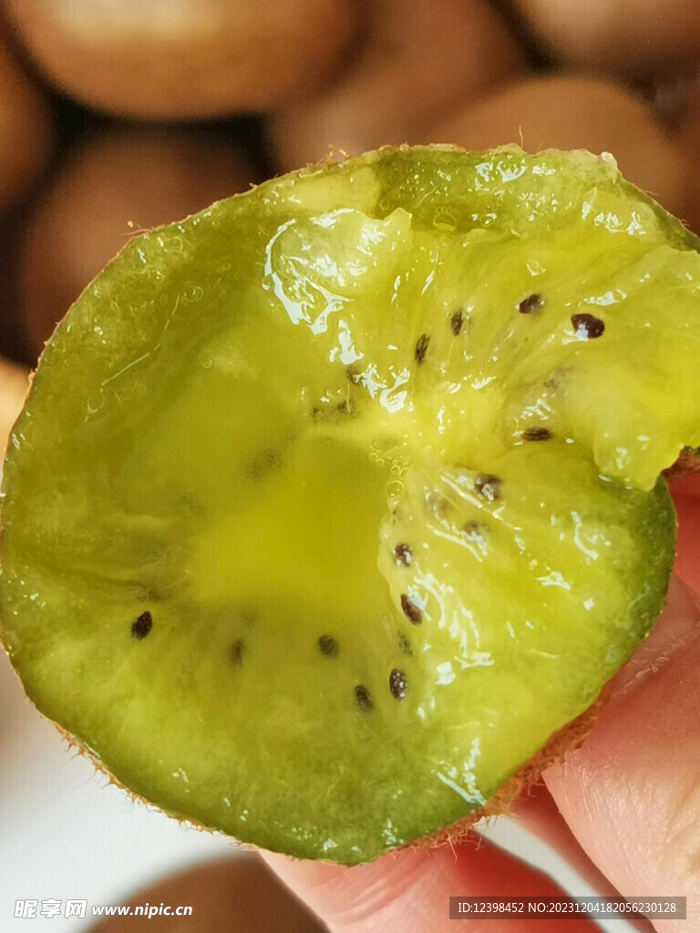 徐香猕猴桃
