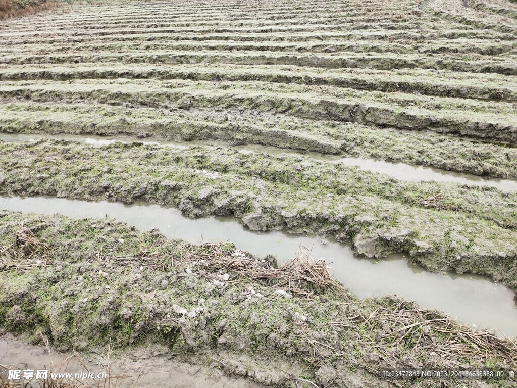 农田田园风光