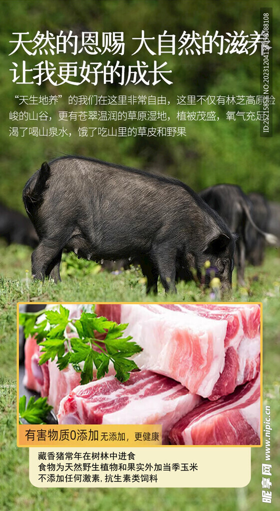 藏香猪肉