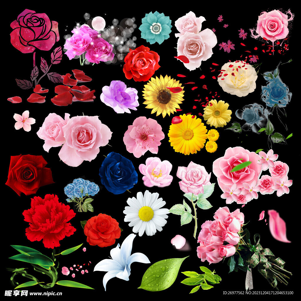 花卉
