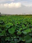 管社山庄