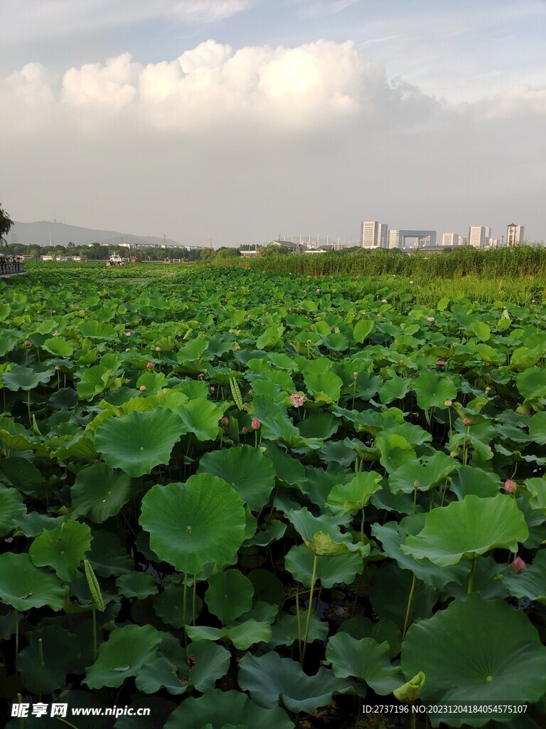 管社山庄