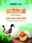 鲜香美味鲜海鸭蛋咸鸭蛋