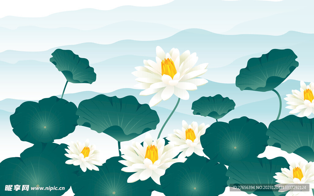 荷花 