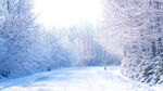 大雪
