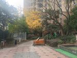 园林景观