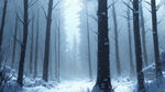黑暗森林，冰雪