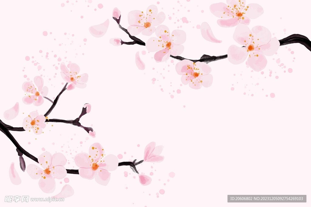 梅花插画
