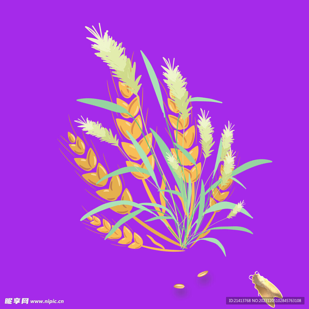 手绘麦子麦穗 