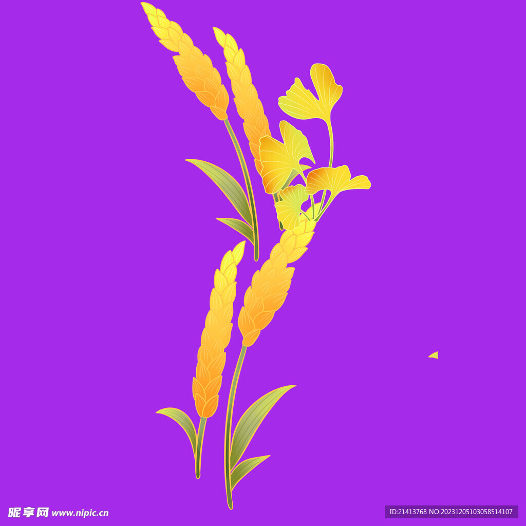 手绘麦子麦穗 