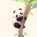 上树的大熊猫