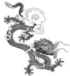 中国龙纹理