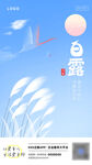 白露