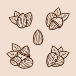 手绘干果栗子版画