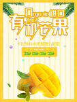 有机芒果