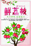 新鲜荔枝