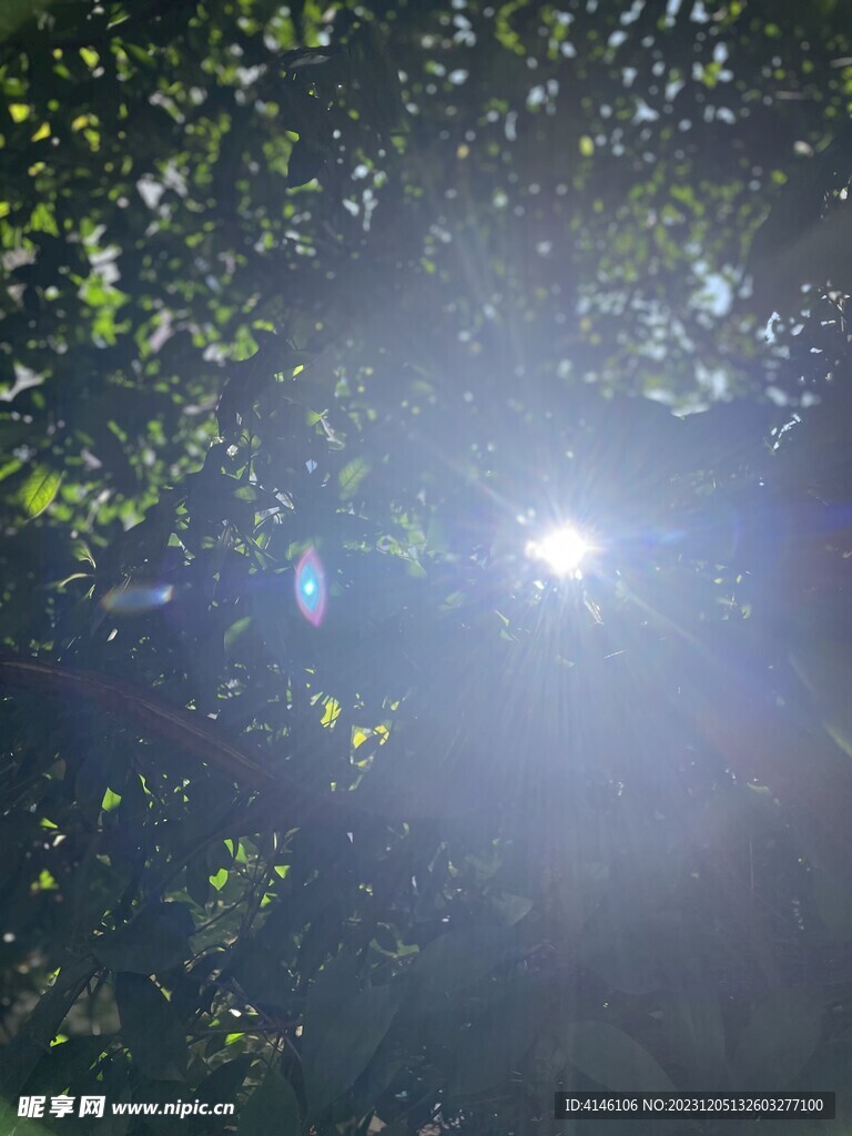 阳光
