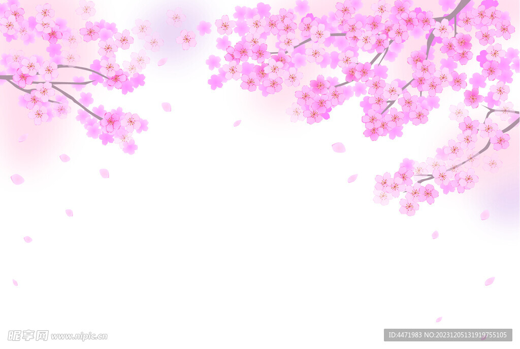 粉色樱花背景