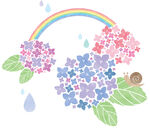 水彩绣球花