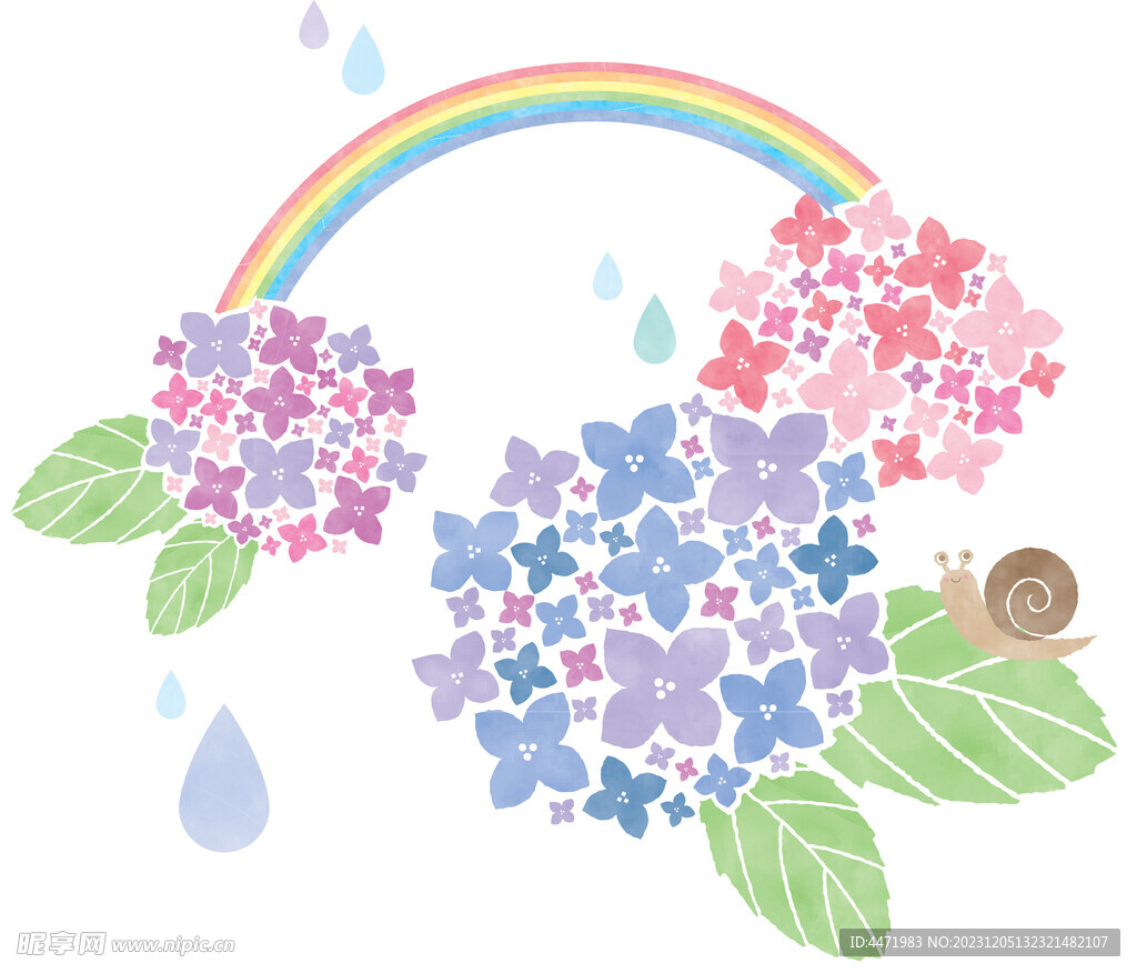 水彩绣球花