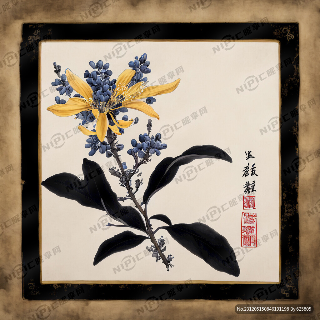 国画 中草药 金银花