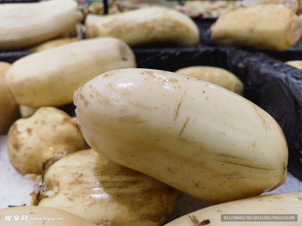 莲藕