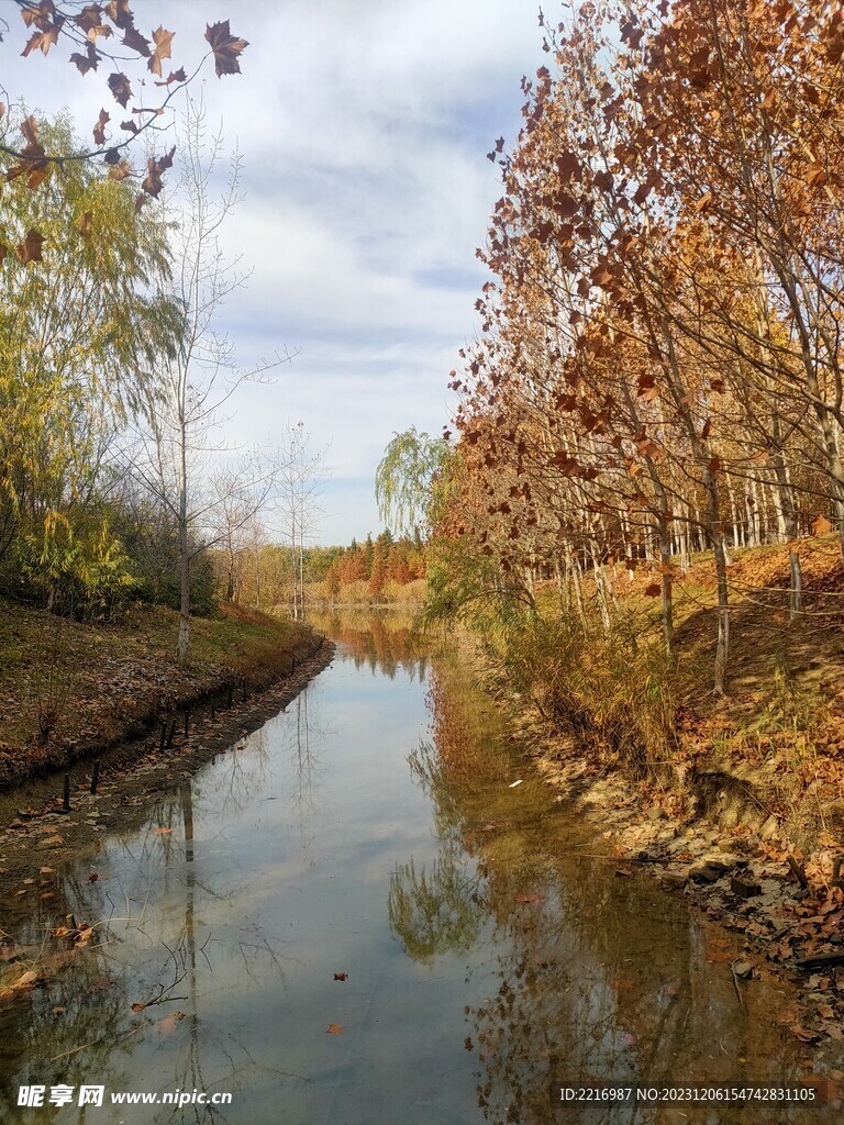 秋天的风景