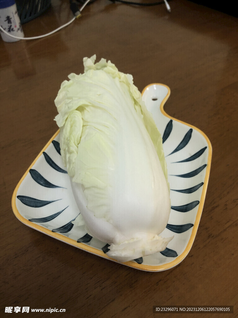 卷心菜