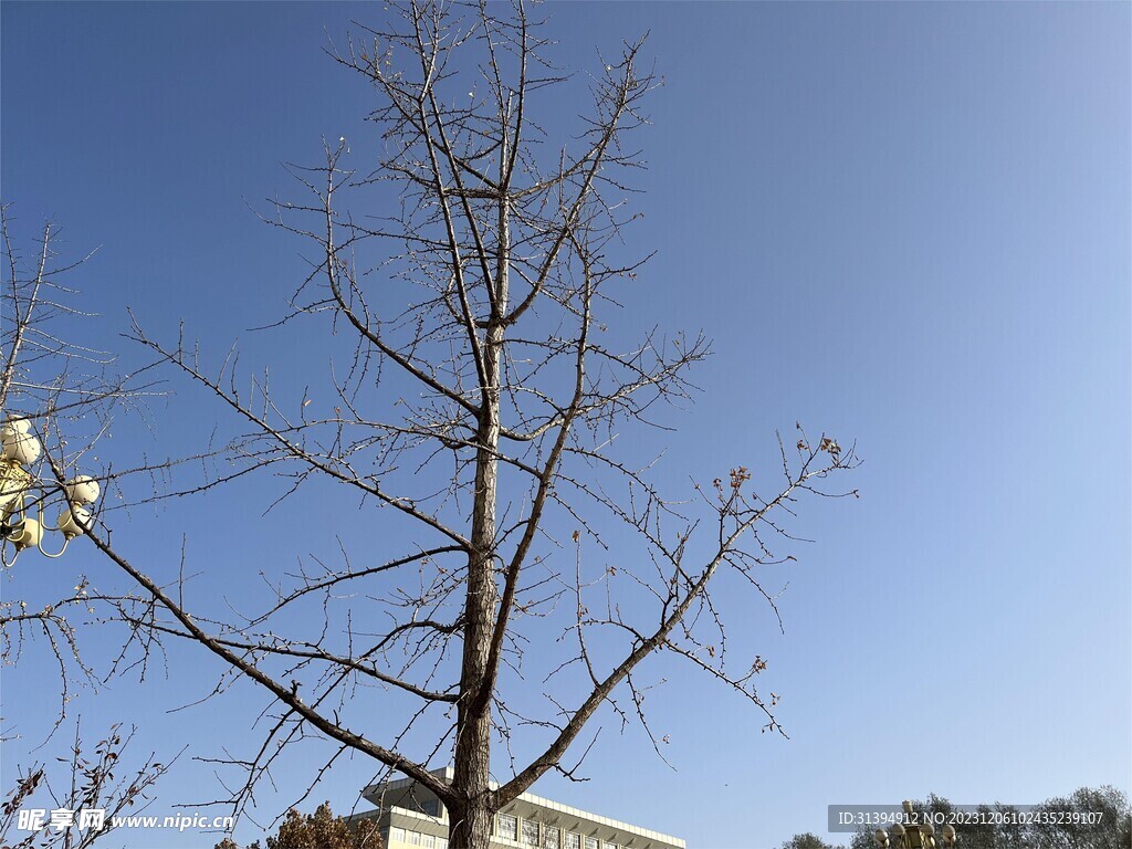 蓝天