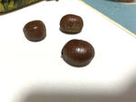 美味板栗