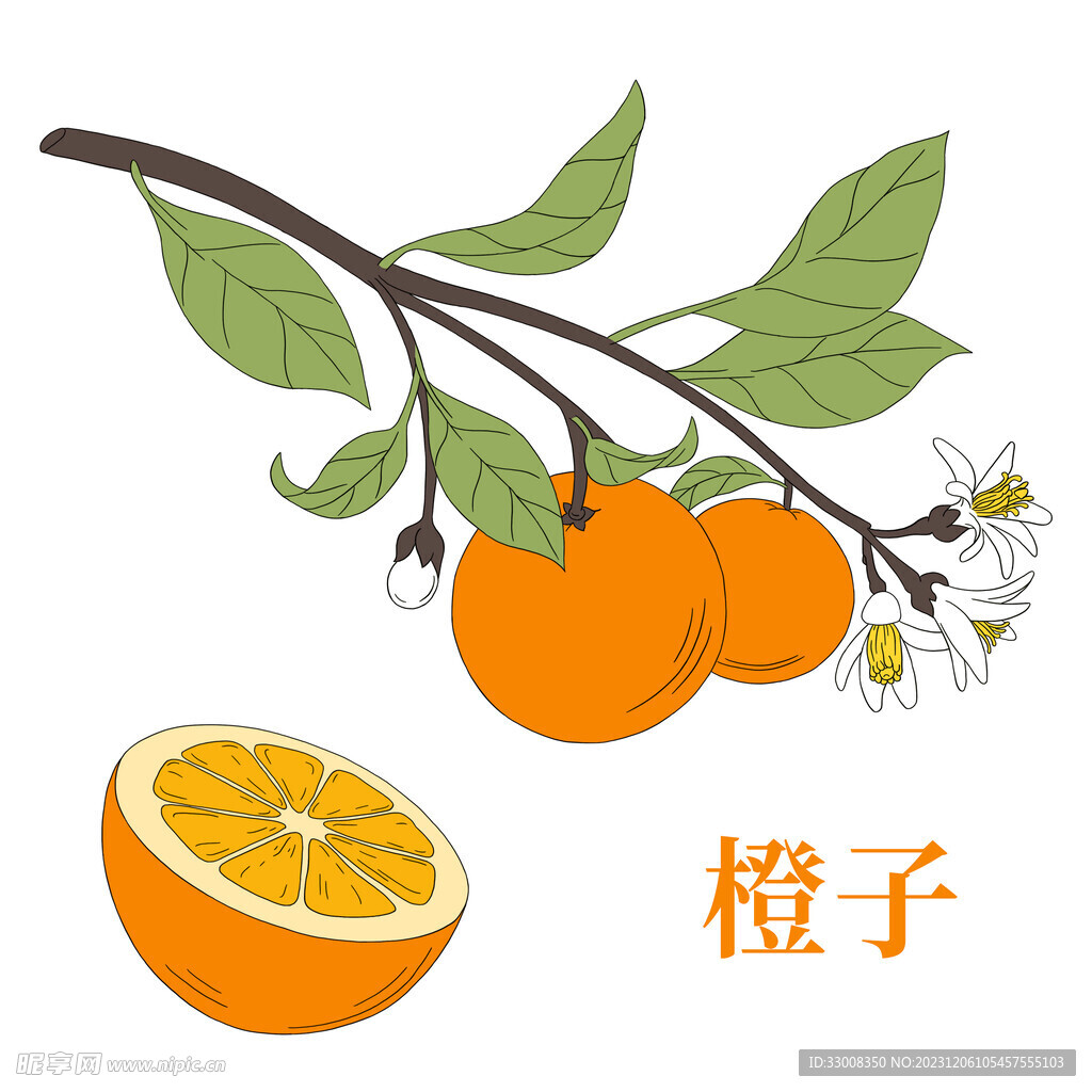 巧剥橙子的做法_【图解】巧剥橙子怎么做如何做好吃_巧剥橙子家常做法大全_苟延残喘的高蘑菇_豆果美食