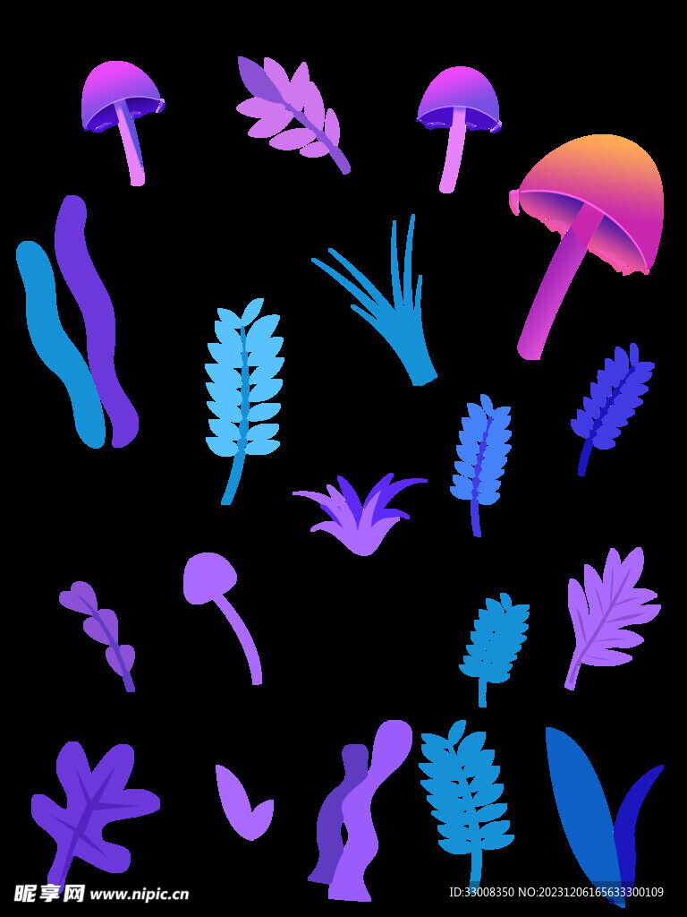 紫色装饰植物花卉